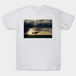 Hurricane Gate Guardian T-Shirt